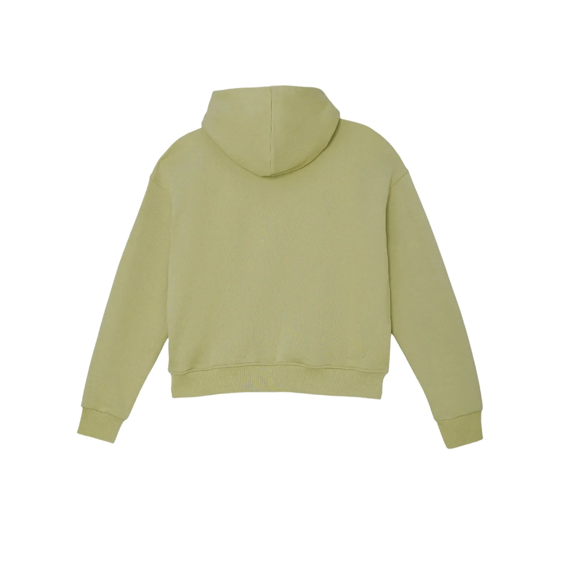 Azva Crystal Cactus Zip-Up Hoodie Sage