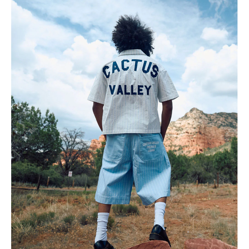 Azva Valley Pinstripe Shirt